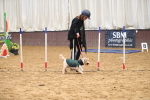 SBM_001050