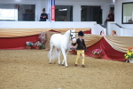 SBM_10726
