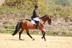 SBM_011057