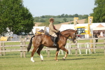 SBM_10241