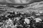 Moody Bowfell