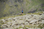 Duddon Long-537