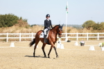 SBM_017010