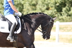 SBM_003374