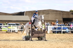 SBM_003377