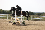 SBM_003276