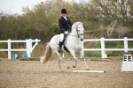 SBM_001264