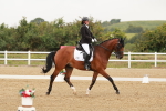 SBM_009328