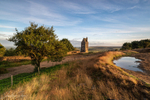 The Pigeon Tower