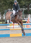 North Showjumping_2016-46