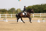 SBM_005279