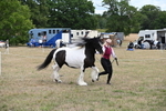 WJ6_5368