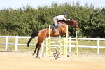 SBM_008018