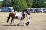 WJ6_8543