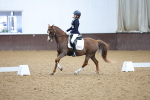 SBM_001930