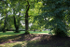 Frenchay Common FR _007