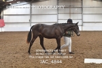 JAC_4844