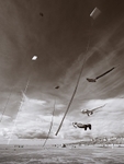 Kite Festival 006