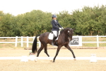 SBM_005587