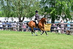 SBM_15354