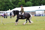 SBM_02641