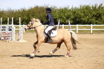 SBM_000977