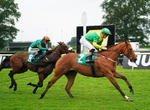 160626-Race 5-Emerald Harmony-6