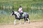 WJ7_8012