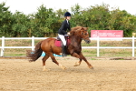 SBM_002637