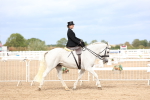 SBM_03401