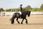 SBM_06854