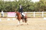 SBM_001315