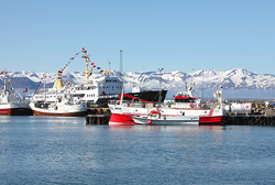 Iceland portfolio