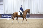 SBM_004435