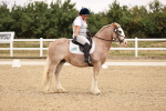 SBM_006429