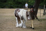 WJ6_7901