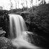 000064120006 BW