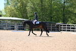 WJ6_8881