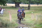 Water Crossing portfolio