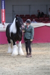 SBM_06558