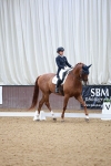 SBM_010180