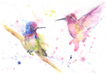 Humming Bird Limited Edition Print 499