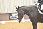 SBM_010305