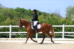 Class 5: Novice 5 2024 portfolio