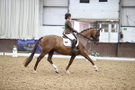 SBM_019560