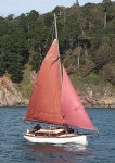 090913 DOLPHIN IMG_6691