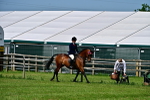 SBM_03783