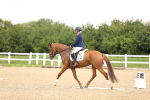 SBM_001005
