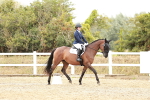 SBM_002831