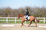 SBM_003364